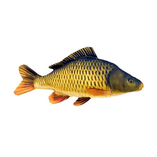 801 0008 998 Caby the Common Carp Pillow Small V 02