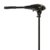 WEB 201 1265 100 Raptor Elektromotor 12V 65 lbs V 04