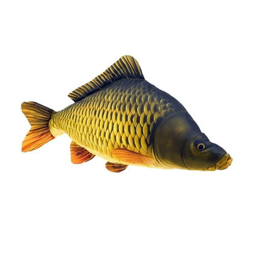 801 0010 998 Caby the Common Carp Oreiller Large V 01