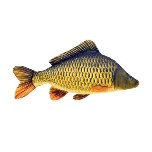 801 0010 998 Caby the Common Carp Oreiller Large V 02