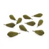 WEB 501 0057 270 RCG Carp Gear Karper Vis Lood Torpeda Olijfgroen 100 gr V 02