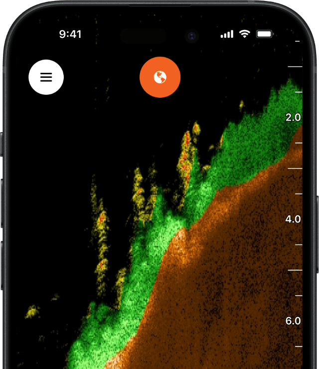 sonar view